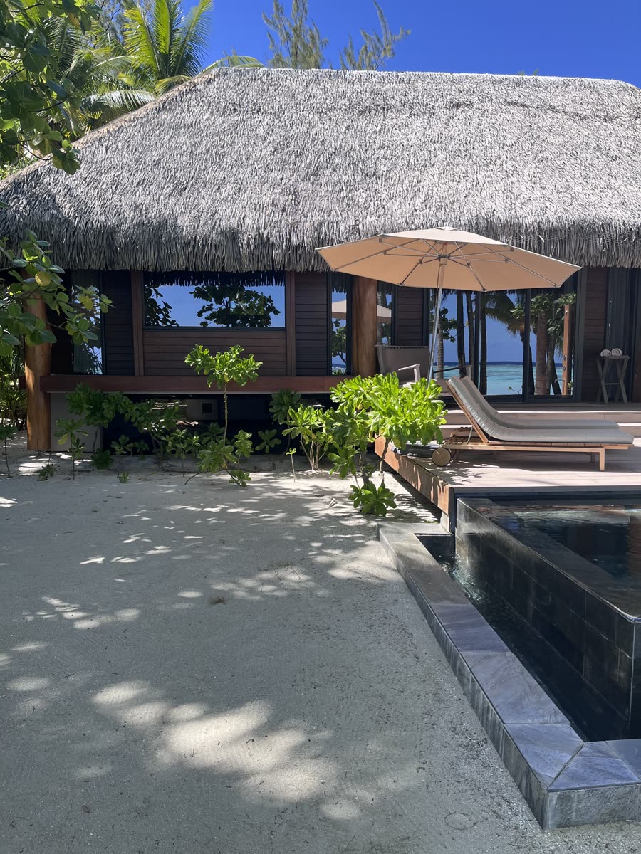 A thatched-roof villa with a plunge pool among palms